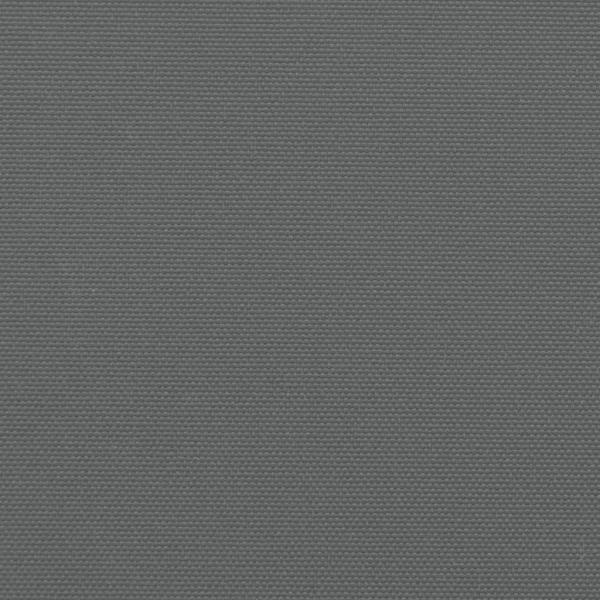 Seitenmarkise Ausziehbar Anthrazit 160x300 cm