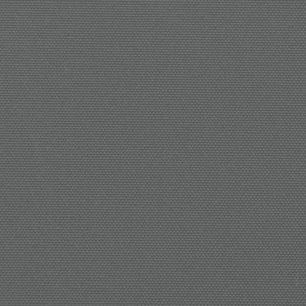 Seitenmarkise Ausziehbar Anthrazit 200x500 cm