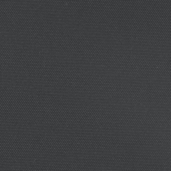 Seitenmarkise Ausziehbar Schwarz 120x600 cm