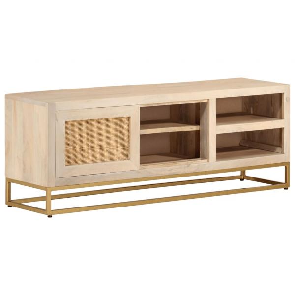 ARDEBO.de - TV-Schrank 110x30x40 cm Massivholz Mango und Eisen