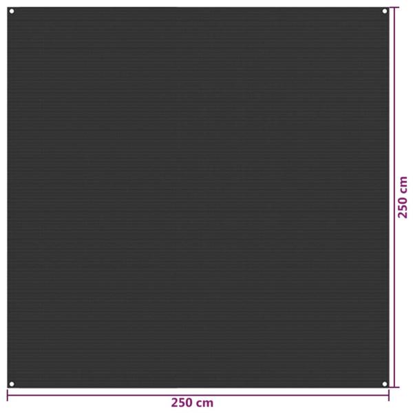 Zeltteppich 250x250 cm Anthrazit HDPE