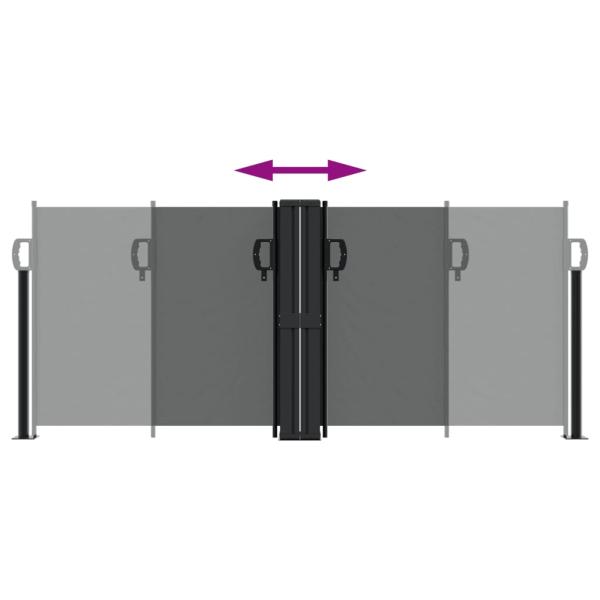ARDEBO.de - Seitenmarkise Ausziehbar Anthrazit 100x1000 cm