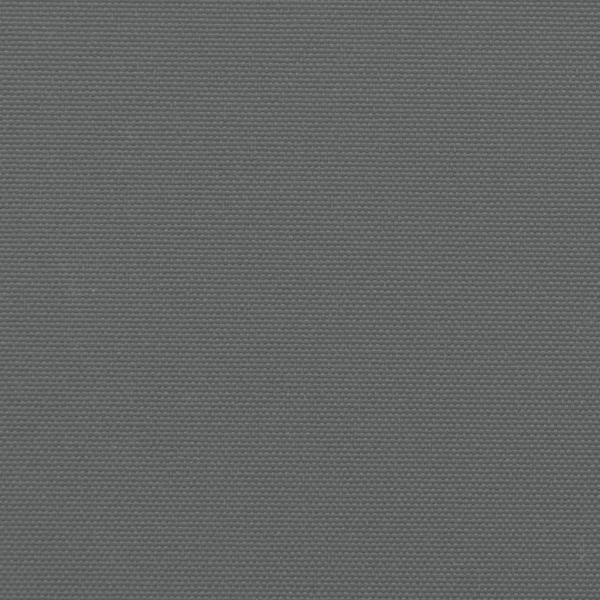 Seitenmarkise Ausziehbar Anthrazit 100x1000 cm