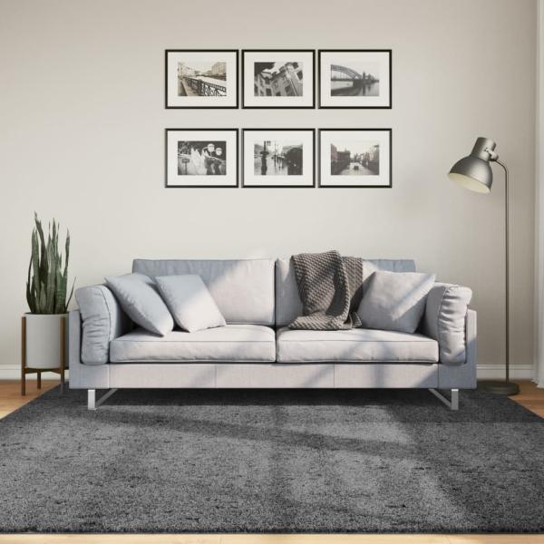 ARDEBO.de - Teppich OVIEDO Kurzflor Anthrazit 200x200 cm