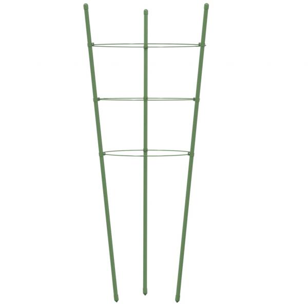 Pflanzenstützen mit 3 Ringen 5 Stk. Grün 60 cm Stahl