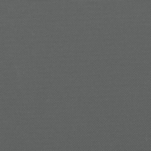 Seitenmarkise Ausziehbar Anthrazit 220x300 cm