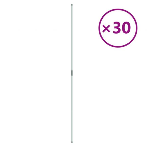 Pflanzenstützen 30 Stk. Grün 150 cm Stahl