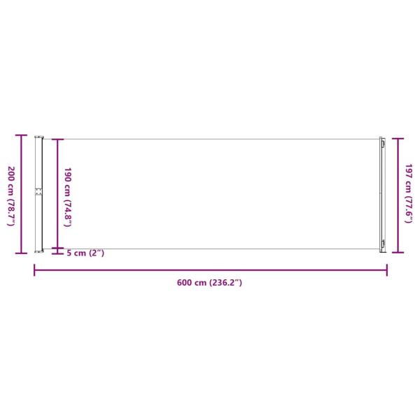Seitenmarkise Ausziehbar 200x600 cm Schwarz