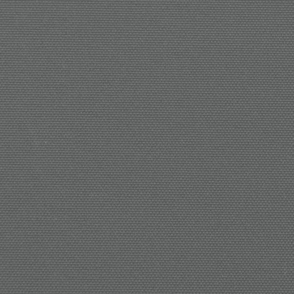 Seitenmarkise Ausziehbar Anthrazit 200x1000 cm