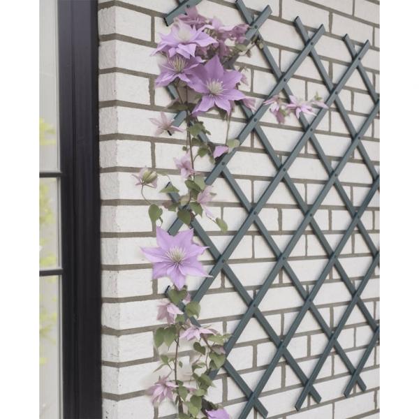 ARDEBO.de - Nature Garten-Rankgitter 50x150 cm PVC Anthrazit