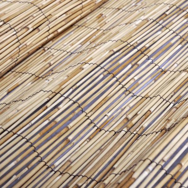 Gartenzaun 400x100 cm Schilf