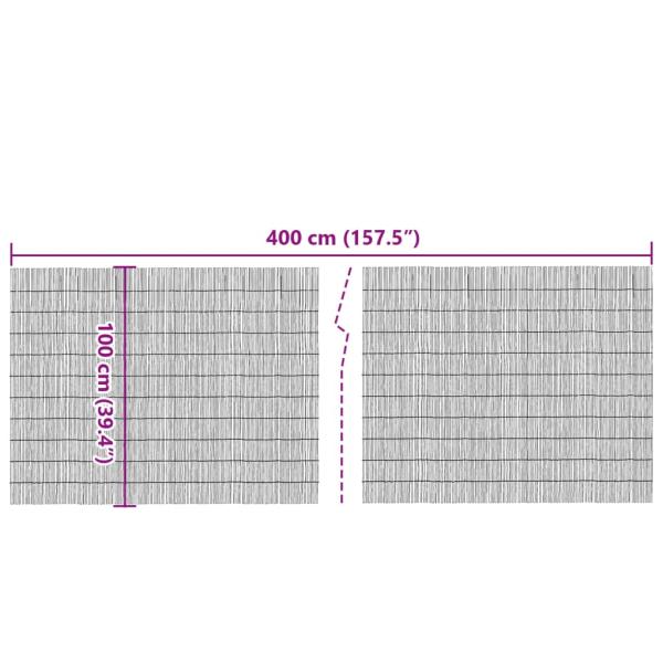 Gartenzaun 400x100 cm Schilf