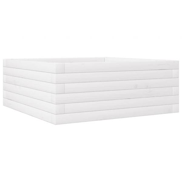 Pflanzkübel Weiß 60x60x23 cm Massivholz Kiefer