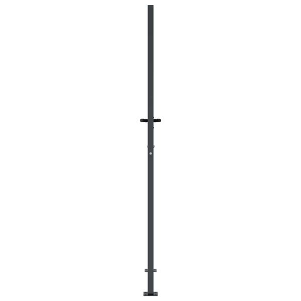 Gartentor Anthrazit 105x180 cm Stahl Gras-Design