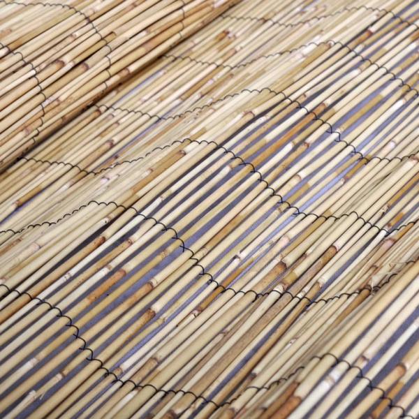 Gartenzaun 300x100 cm Schilf