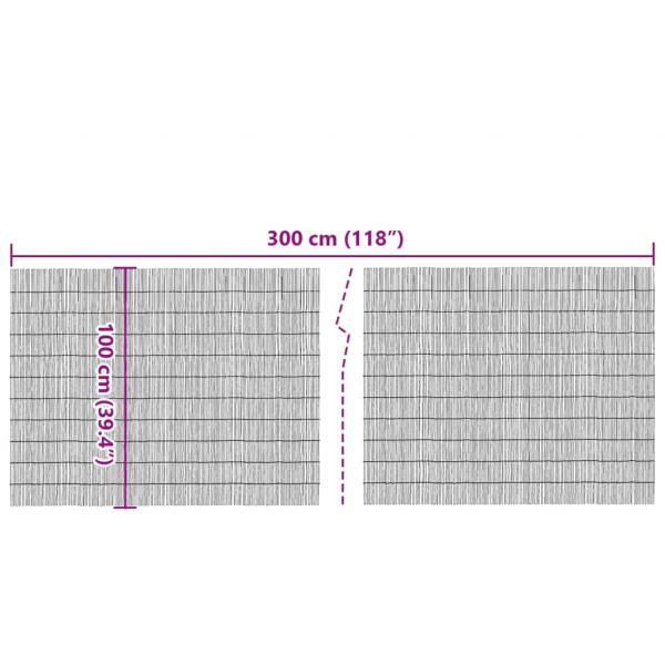Gartenzaun 300x100 cm Schilf