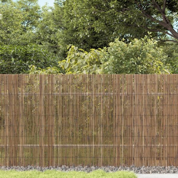 ARDEBO.de - Gartenzaun 1000x80 cm Schilf