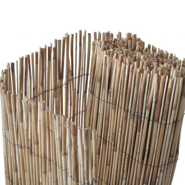 Gartenzaun 1000x80 cm Schilf