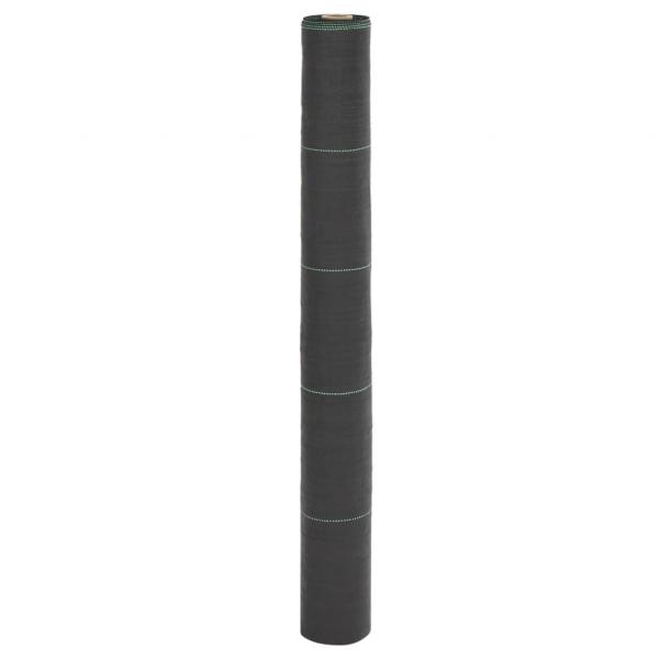 ARDEBO.de - Unkrautvlies Schwarz 1x10 m PP