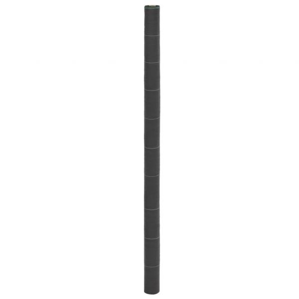 ARDEBO.de - Unkrautvlies Schwarz 2x10 m PP