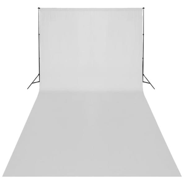 Fotostudio-Set mit Lampen und Hintergrundsystem
