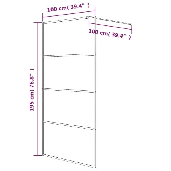 Duschwand für Begehbare Dusche Schwarz 100x195 cm Halbmatt ESG