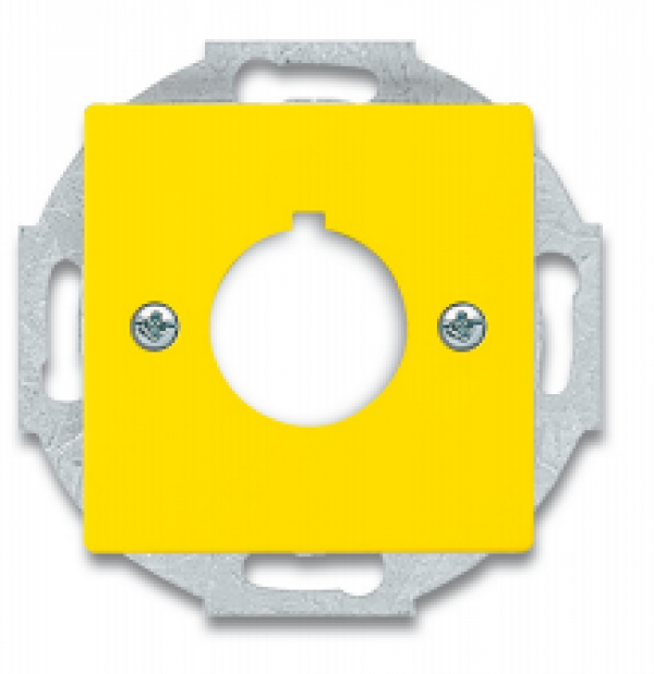 ARDEBO.de Busch-Jaeger 2533-82-15 Zentralscheibe mit Tragring, Busch-dynasty, gelb (2CKA001724A4382)