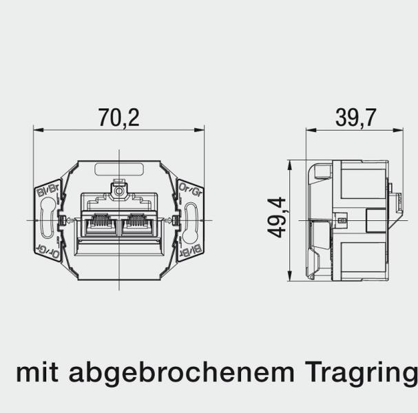Rutenbeck (136104070) UAE-CAT.6A ISO-8/8 UP 0 UAE Anschlussdose, 2-fach, 2 x 8-polig