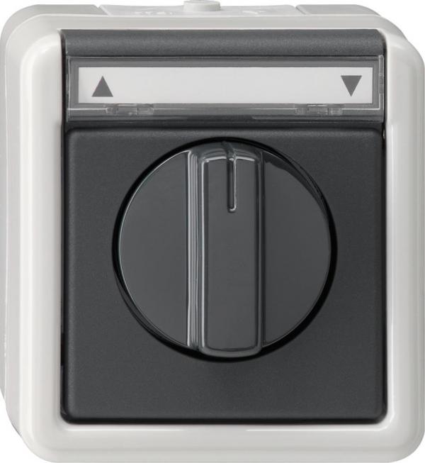 ARDEBO.de Gira 015430 Jalousietaster/-schalter 1polig mit Beschriftungsfeld 10 A 250 V~ Gruppentaster/Schalter, Aufputz IP 44, grau