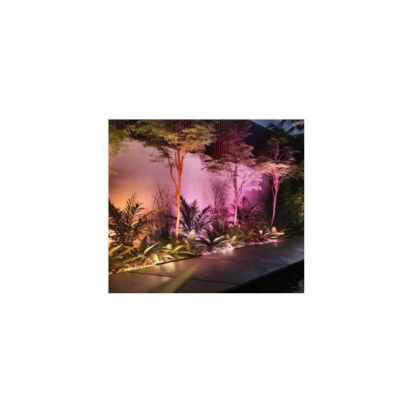 Philips Hue Amarant Outdoor LED Wandfluter, 20W, 1420lm, 4000K, schwarz (915005843401)