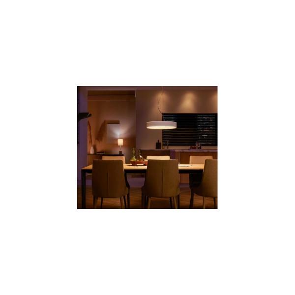 Philips Hue Enrave LED Pendelleuchte, Dimmschalter, 33,5W, 4300lm, 4000K, weiß (915005998001)