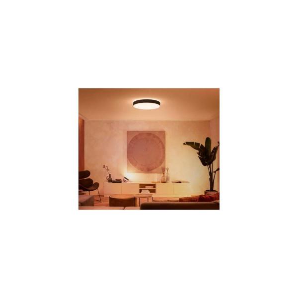 Philips Hue Enrave XL LED Deckenleuchte, Dimmschalter, 48W, 6100lm, 4000K, schwarz (915005997101)
