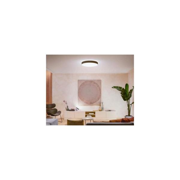 Philips Hue Enrave XL LED Deckenleuchte, Dimmschalter, 48W, 6100lm, 4000K, schwarz (915005997101)
