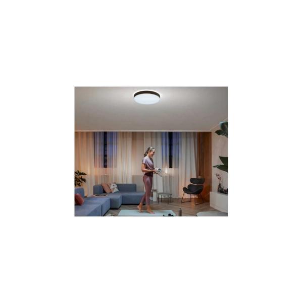 Philips Hue Enrave XL LED Deckenleuchte, Dimmschalter, 48W, 6100lm, 4000K, schwarz (915005997101)