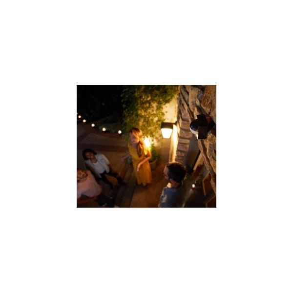 Philips Hue Motion Outdoor Sensor, batteriebetrieben, witterungsbeständig, schwarz (929003067401)
