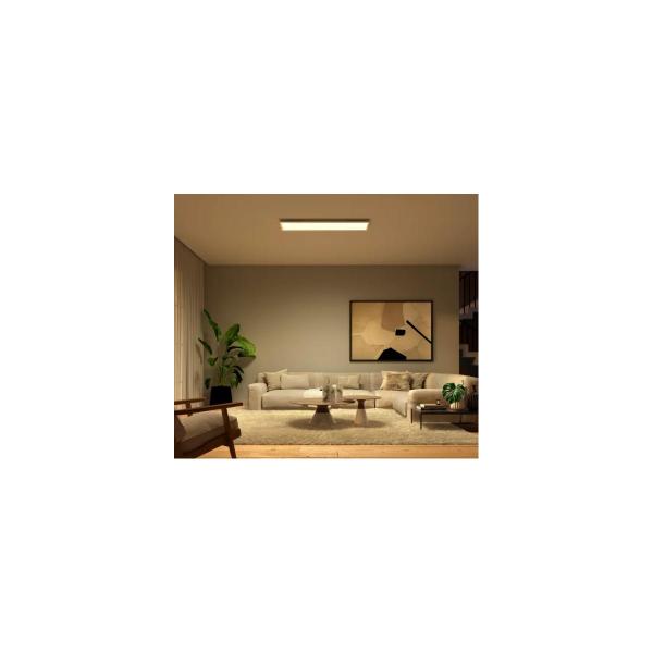 Philips Hue Surimu Rechteckiges LED Panel, 120x30cm, 60W, 4000K, 4150lm, weiß (929002966501)