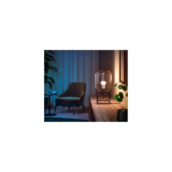 Philips Hue White & Color Ambiance E27 Lampe, Doppelpack, A60, 806lm, 4000K (929002489602)