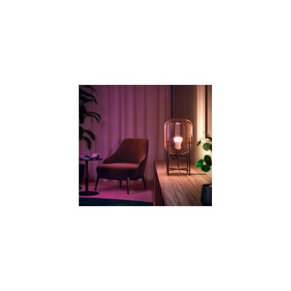 Philips Hue White & Color Ambiance E27 Lampe, Doppelpack, A60, 806lm, 4000K (929002489602)