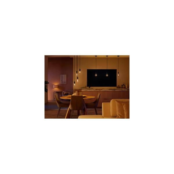 Philips Hue White Ambiance LED Lampe, Filament Giant Globe G125, E27, 7W, 550lm, 4000K (929002478101)