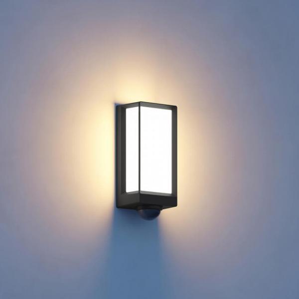 Steinel L 42 SC Sensor-LED-Außenleuchte mit Bewegungsmelder, Bluetooth, 13W, IP54, anthrazit (085261)
