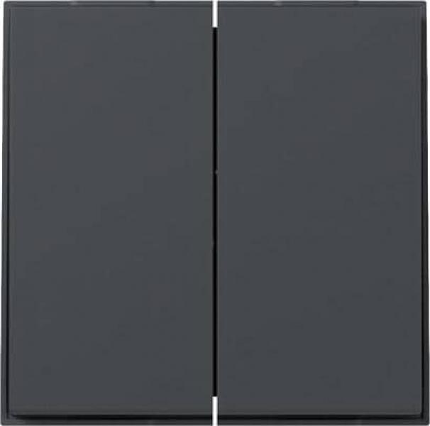 ARDEBO.de Gira 349567 Wippe, gerade, 2fach, TX_44, anthrazit (lackiert)