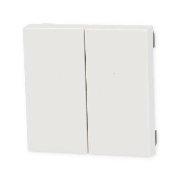 Gira 246203 BT Wandsender 2fach System 55, Reinweiß glänzend