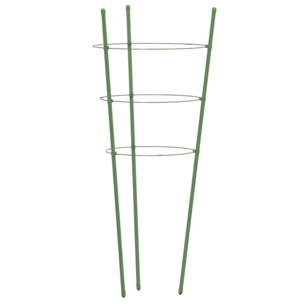 Pflanzenstützen mit 3 Ringen 5 Stk. Grün 75 cm Stahl
