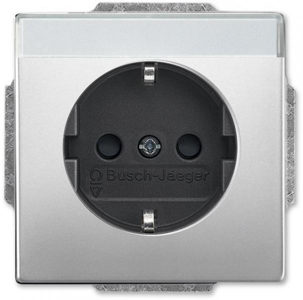 ARDEBO.de Busch-Jaeger 20 EUCNB-866 SCHUKO Steckdosen-Einsatz mit Beschriftungsfeld, Pur Edelstahl, edelstahl (2CKA002013A5432)
