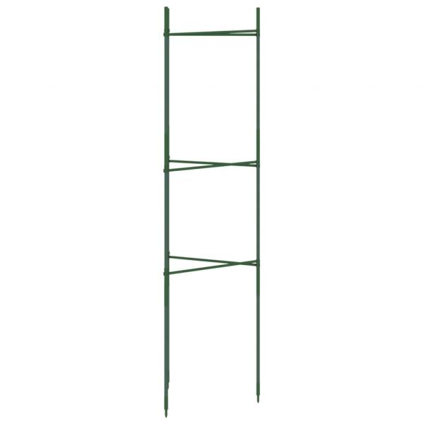 Tomatenkäfige 6 Stk. 116 cm Stahl und PP