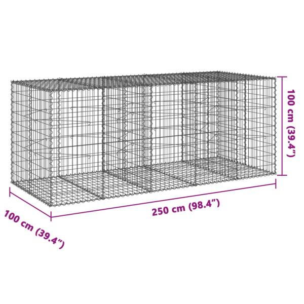 Gabione mit Deckel 250x100x100 cm Verzinktes Eisen