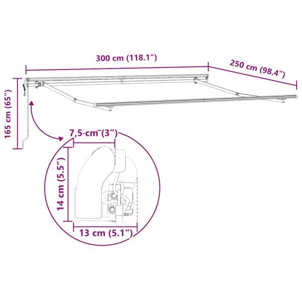 Markise Automatisch Braun 300x250 cm