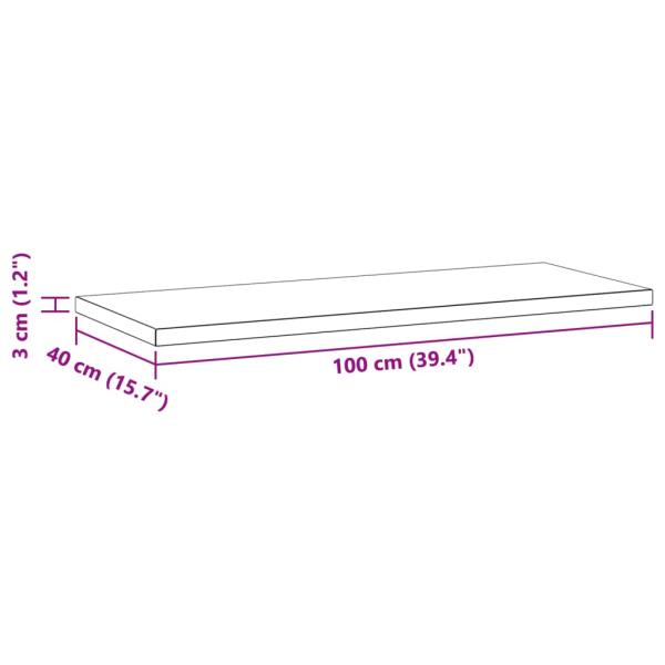 Wandregale 2 Stk. 100x40x3 cm Silbern Edelstahl