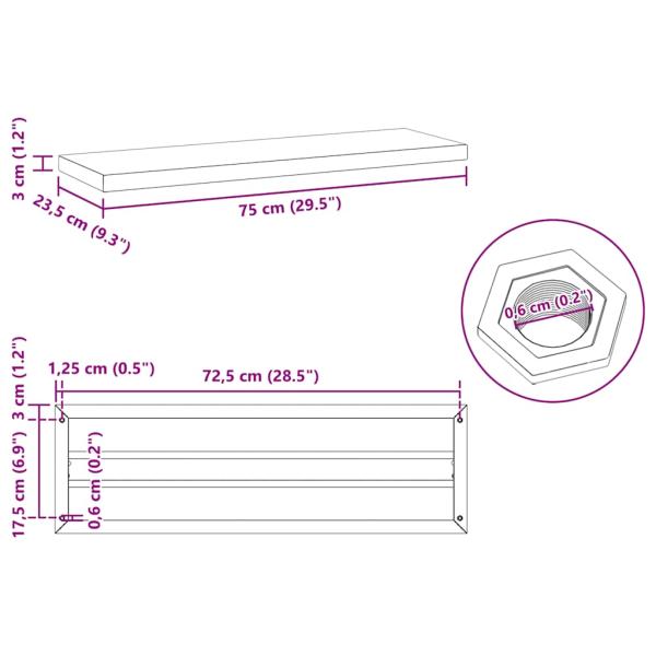 Wandregale 2 Stk. 75x23,5x3 cm Schwarz Edelstahl