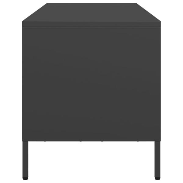 TV-Schrank Schwarz 101,5x39x43,5 cm Kaltgewalzter Stahl